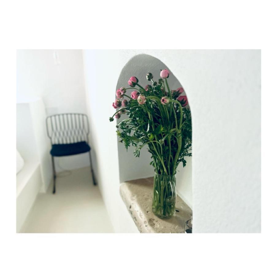 Hydria Guest House Art Gallery Acquaviva delle Fonti Exterior foto