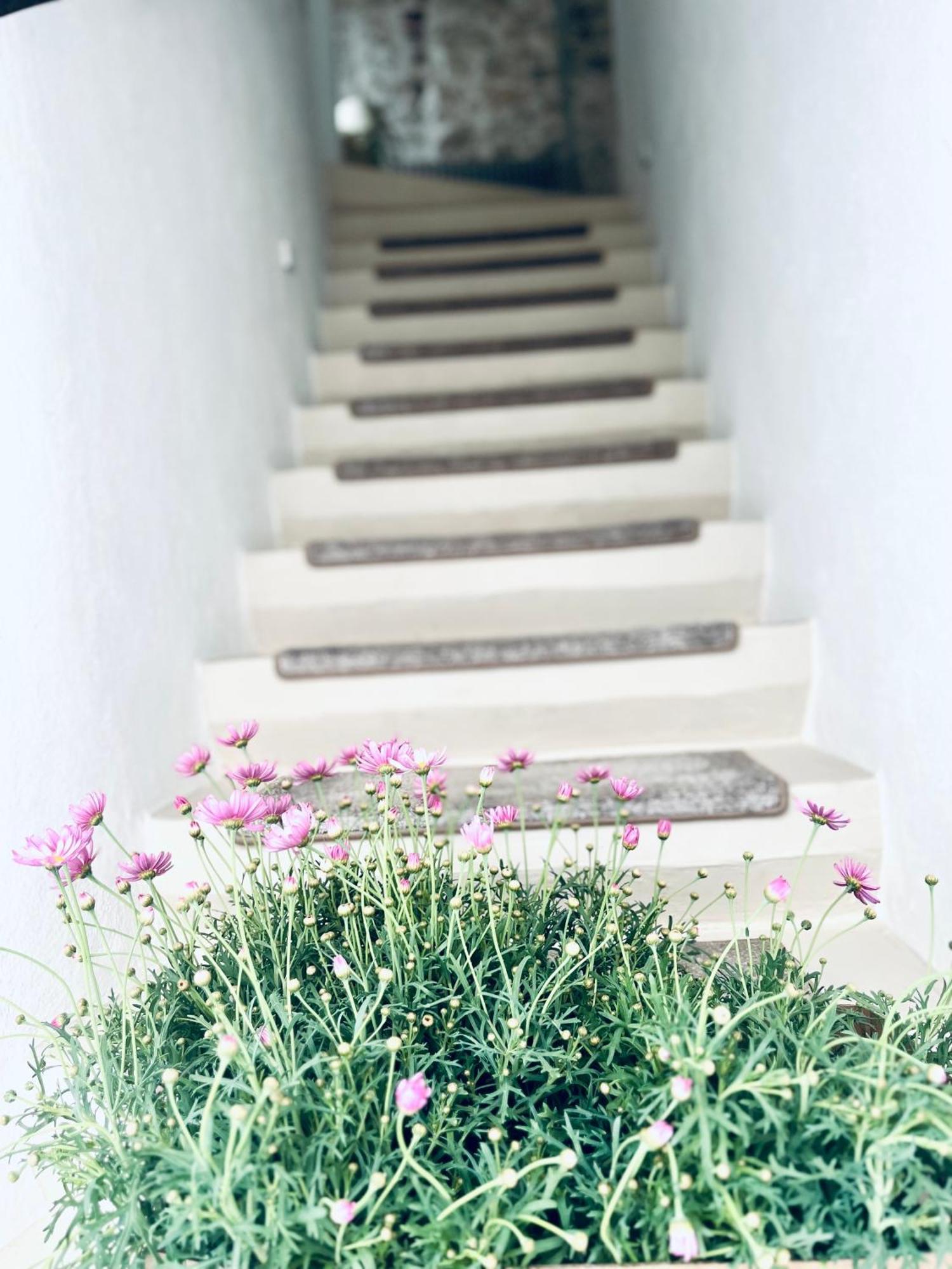 Hydria Guest House Art Gallery Acquaviva delle Fonti Exterior foto
